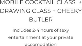 MOBILE COCKTAIL CLASS  + DRAWING CLASS + CHEEKY BUTLER Includes 2-4 hours of sexy entertainment at your private accomodation